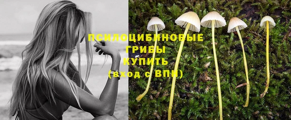 прущая мука Заводоуковск