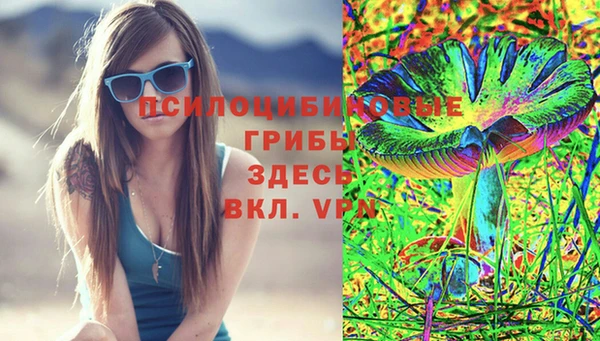 прущая мука Заводоуковск