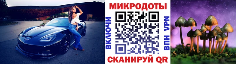 Галлюциногенные грибы Psilocybe  Купить где  Оханск 